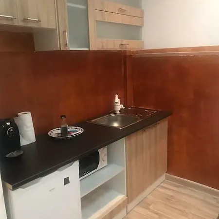 Right Near Athenee Palace Hilton 1 Bedroom Apartament Βουκουρέστι